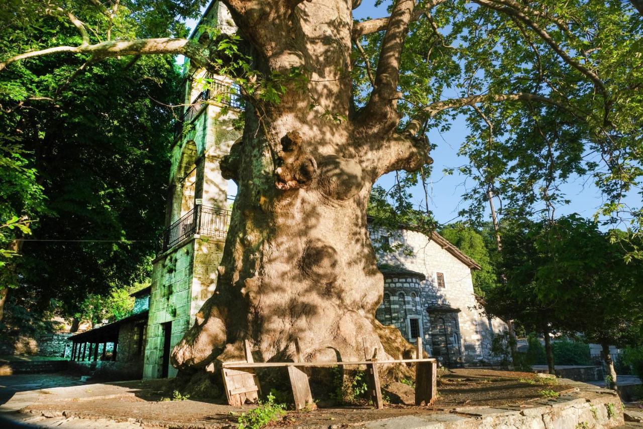 A Dream Deferred Villa Pelion Киссос Экстерьер фото