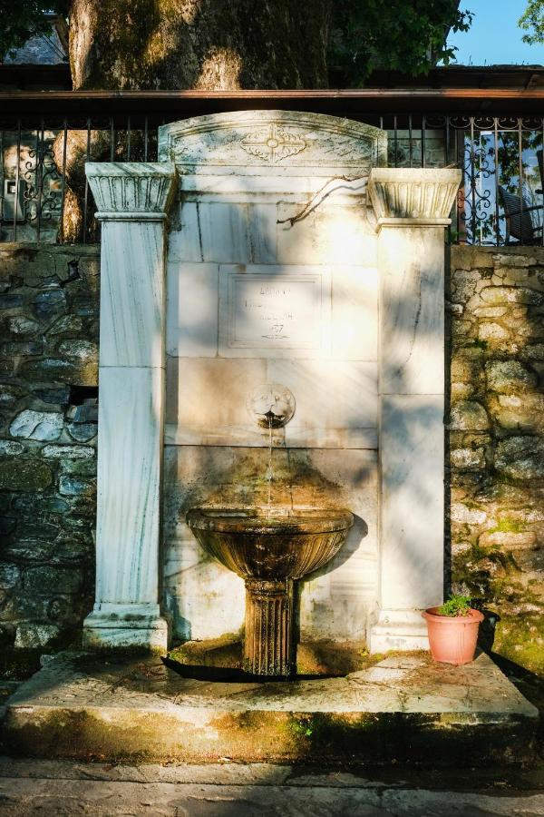 A Dream Deferred Villa Pelion Киссос Экстерьер фото