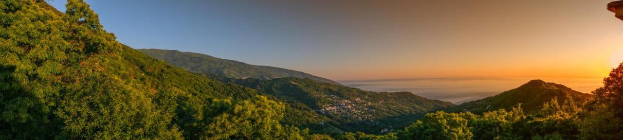 A Dream Deferred Villa Pelion Киссос Экстерьер фото